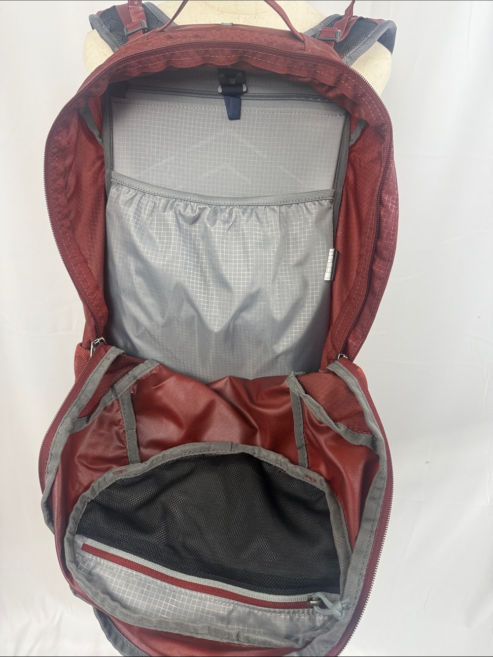 Gregory Citro Daypack Backpack in Deep Brick Red - Picture 4 of 6